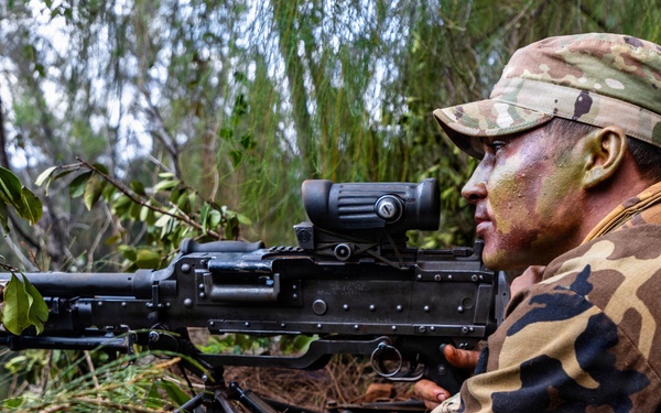 25th Infantry Division Trains with Partners During Dismounted Field Exercise