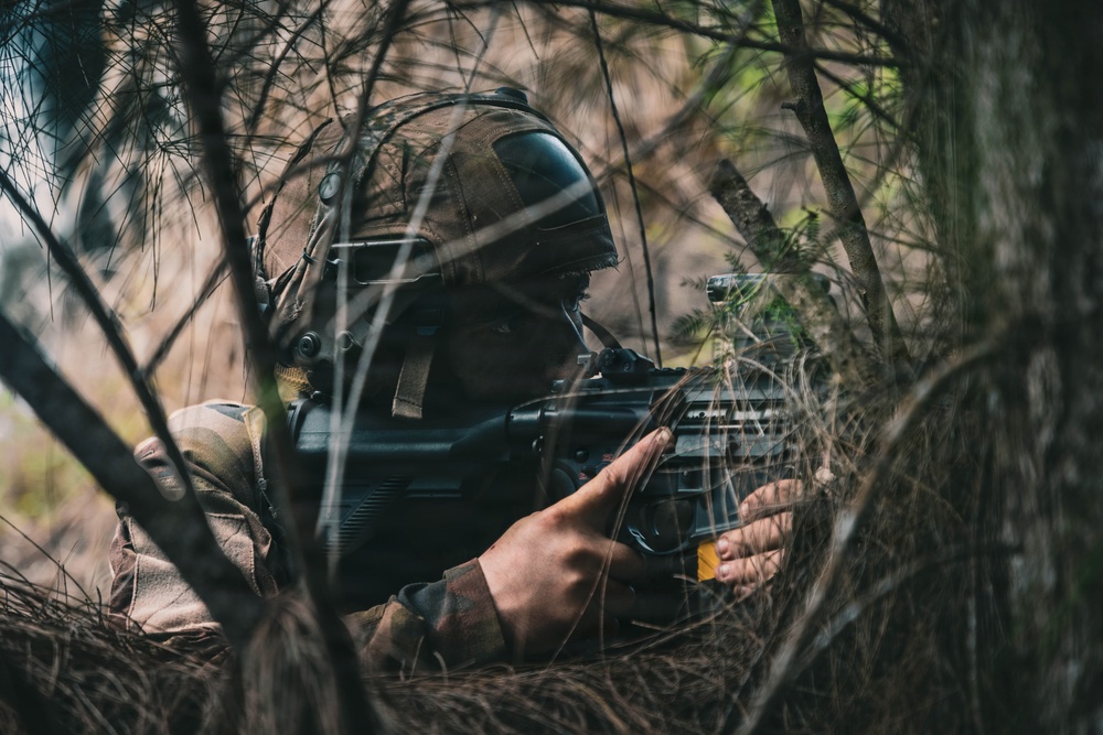 25th Infantry Division Trains with Partners During Dismounted Field Exercise