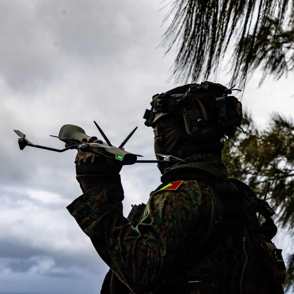 25th Infantry Division Trains with Partners During Dismounted Field Exercise