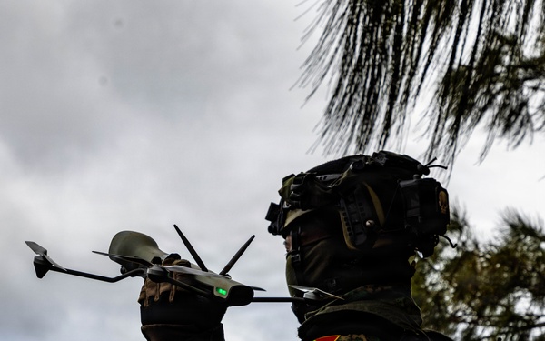 25th Infantry Division Trains with Partners During Dismounted Field Exercise