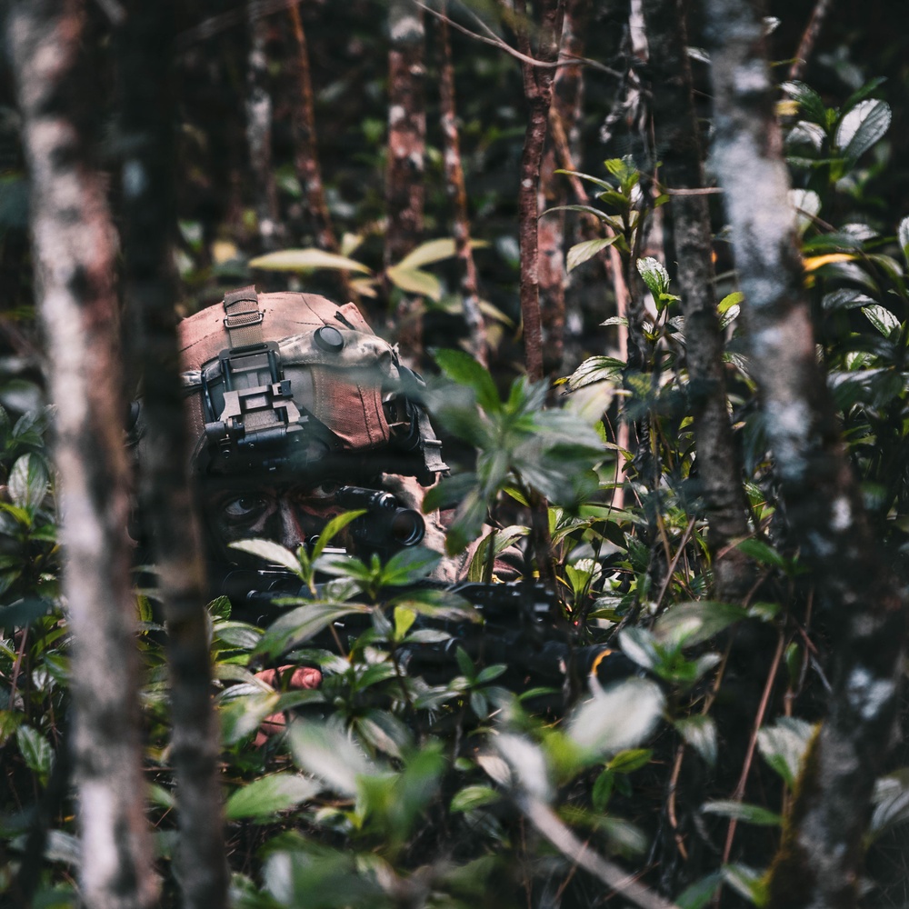 25th Infantry Division Trains with Partners During Dismounted Field Exercise
