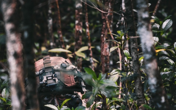 25th Infantry Division Trains with Partners During Dismounted Field Exercise