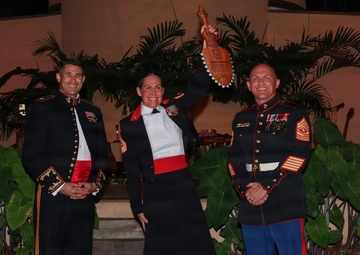 MWSS-174 hosts the 250th Marine Corps birthday ball