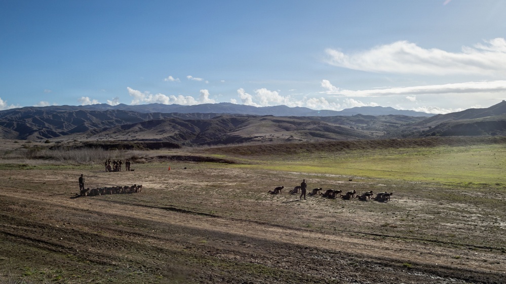 2nd Bn., 4th Marines hold Toughest Bastard Competition 2025