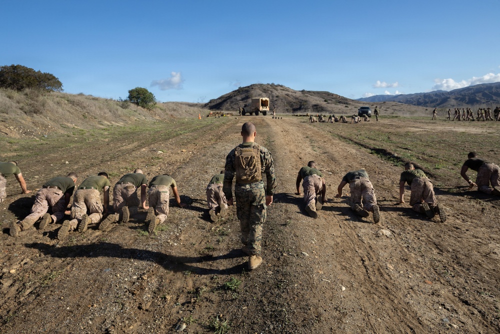 2nd Bn., 4th Marines holds Toughest Bastard Competition 2025