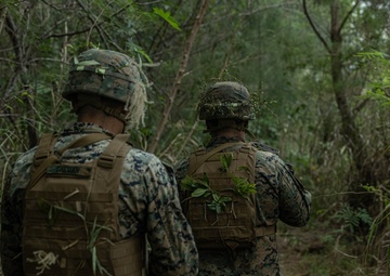 3rd Marine Logistics Group Participate in Komodo 26.1 Field Exercise