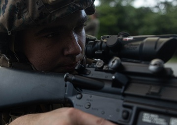 3rd Marine Logistics Group Participate in Komodo 26.1 Field Exercise