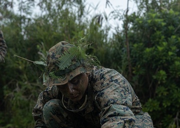 3rd Marine Logistics Group Participate in Komodo 26.1 Field Exercise