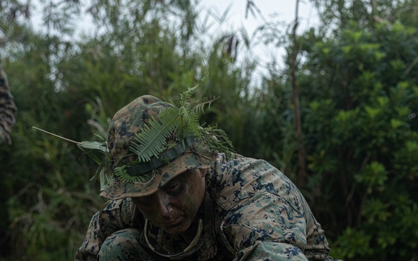 3rd Marine Logistics Group Participate in Komodo 26.1 Field Exercise