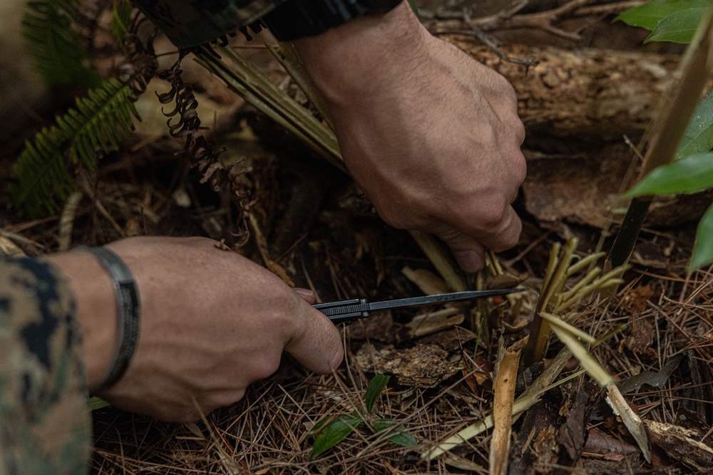 3rd Marine Logistics Group Participate in Komodo 26.1 Field Exercise