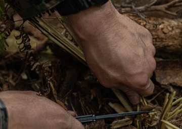 3rd Marine Logistics Group Participate in Komodo 26.1 Field Exercise