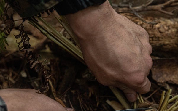 3rd Marine Logistics Group Participate in Komodo 26.1 Field Exercise