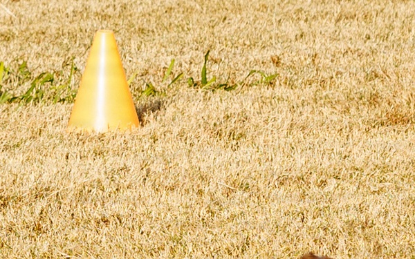 MCAS Iwakuni Explosive Ordnance Disposal Lateral Movement screening CFT