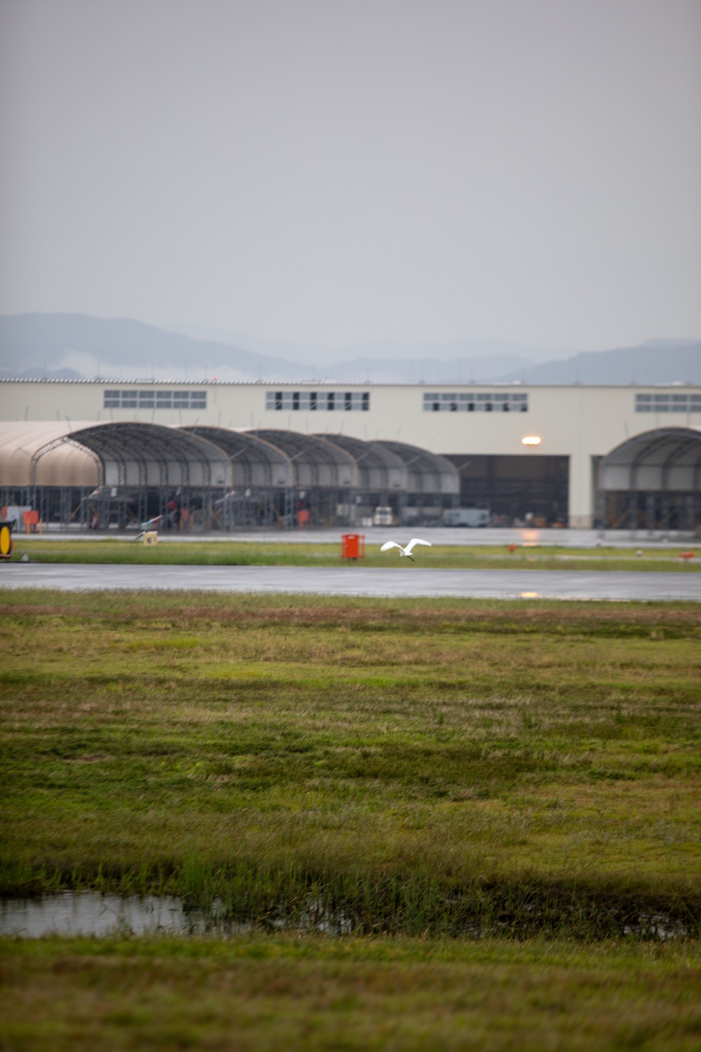 The First Line of Defense: How Iwakuni's BASH Team Safeguards the Airfield
