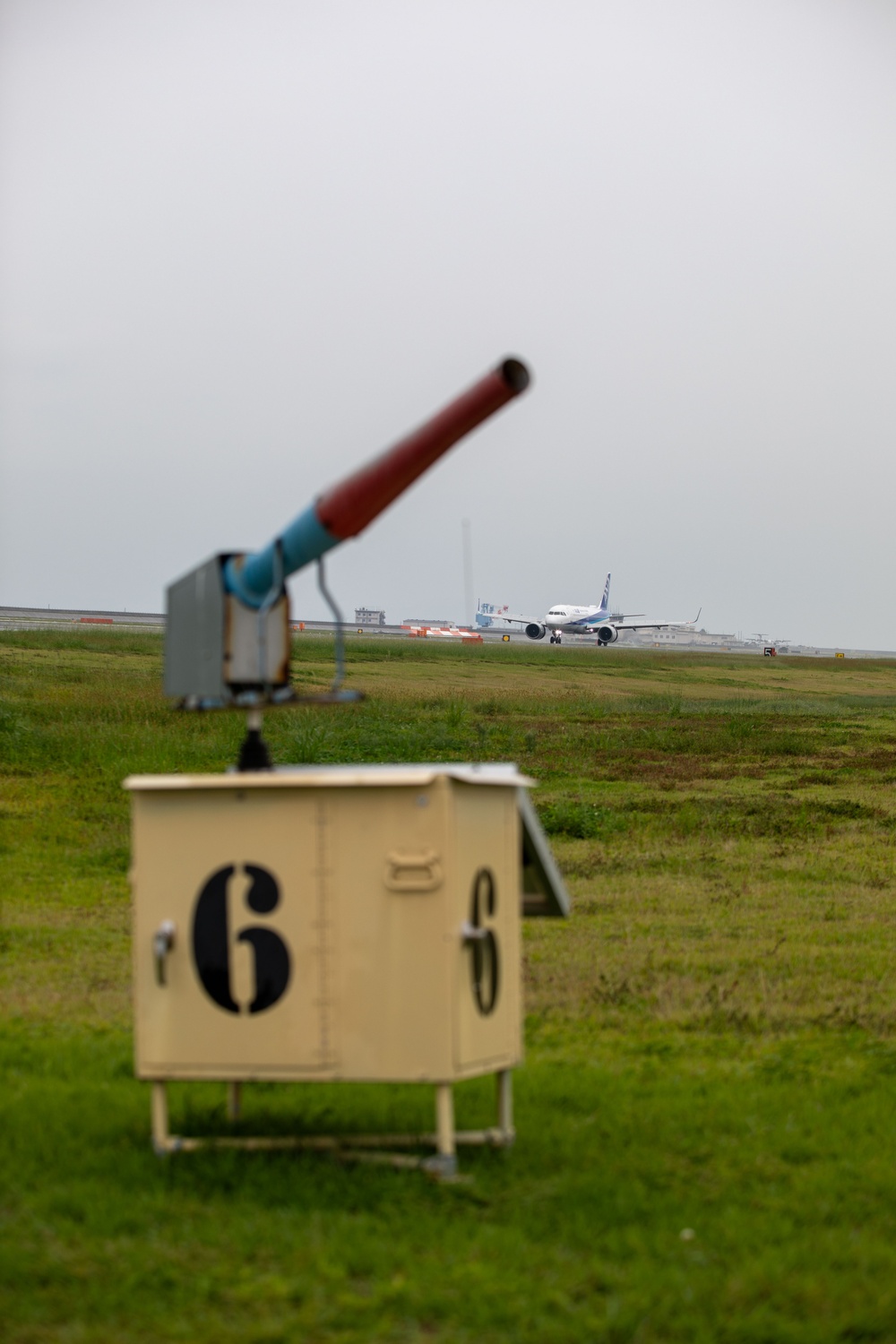The First Line of Defense: How Iwakuni's BASH Team Safeguards the Airfield