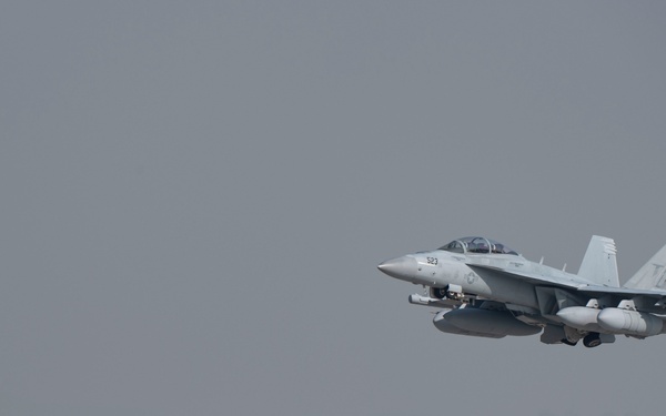 Electronic Attack Squadron (VAQ) 135 operates at Osan