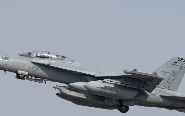 Electronic Attack Squadron (VAQ) 135 operates at Osan