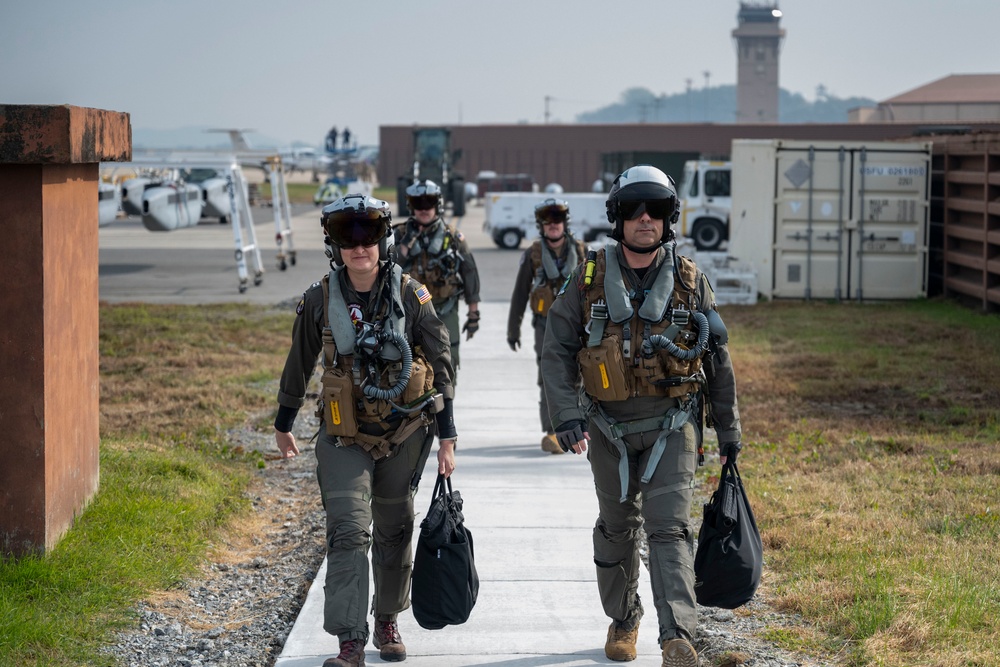 Electronic Attack Squadron (VAQ) 135 operates at Osan