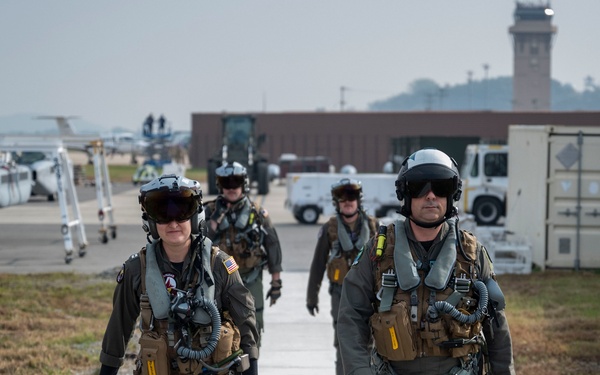 Electronic Attack Squadron (VAQ) 135 operates at Osan