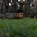 MWHS-1 performs annual combat fitness test