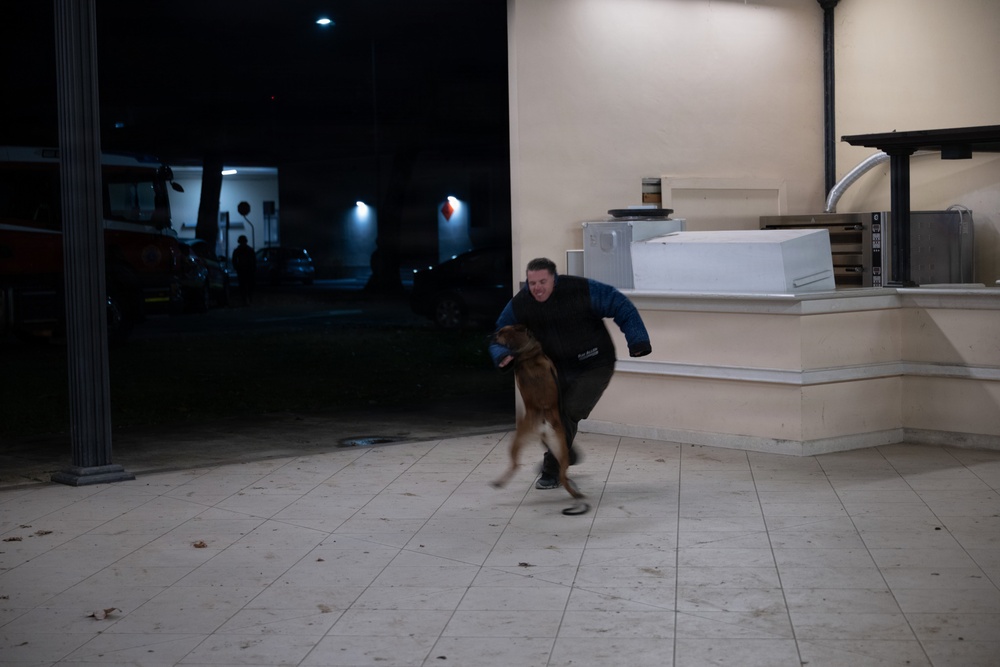 Cub Scout Pack 295 attends Community Safety Night