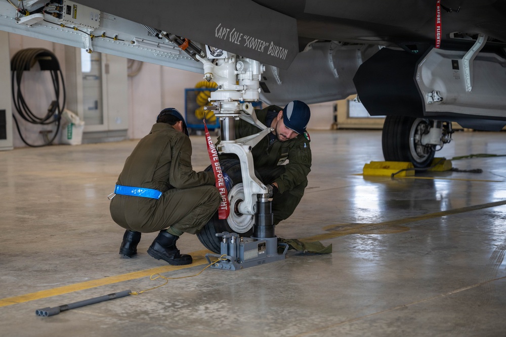 Cross-servicing maintenance: U.S. Air Force and Italian Air Force