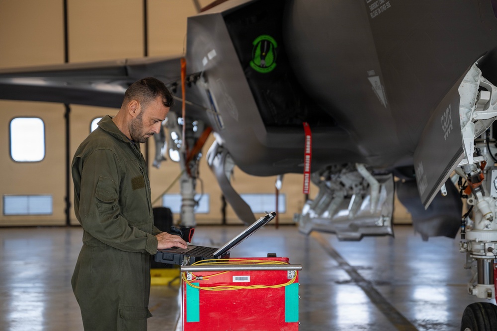 Cross-servicing maintenance: U.S. Air Force and Italian Air Force