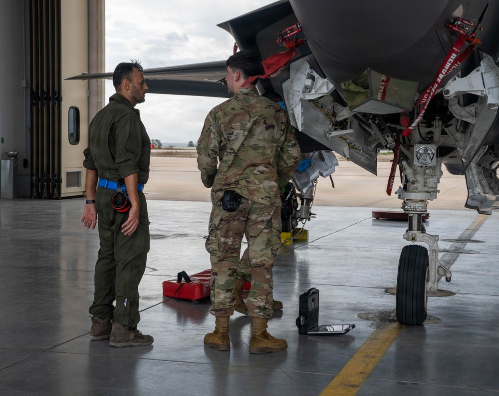Cross-servicing maintenance: U.S. Air Force and Italian Air Force