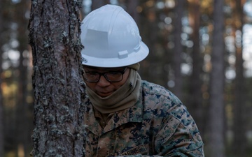 U.S. Marines with MWSS-273 and CLB-6 participate in tree falling operations