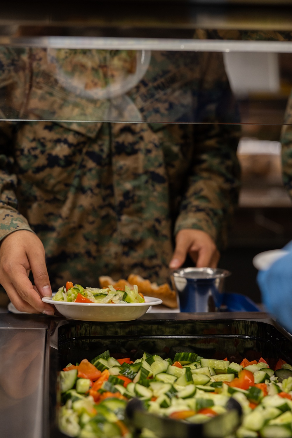 U.S. Marines and Sailors, celebrate a Thanksgiving meal while on European deployment