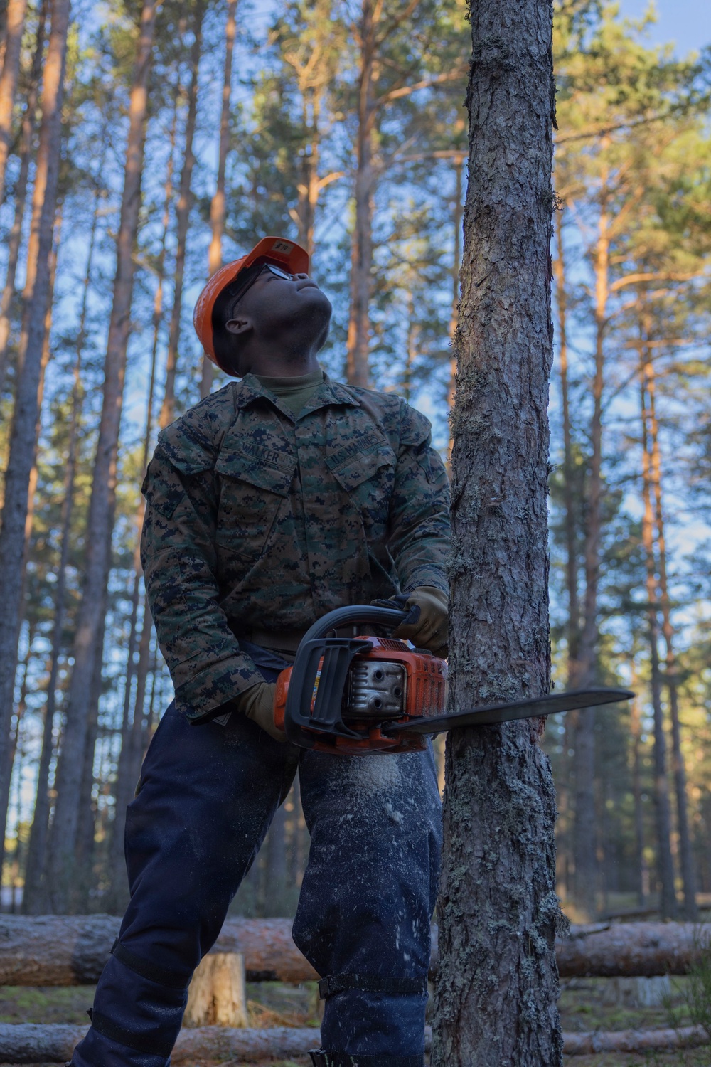 U.S. Marines with MWSS-273 and CLB-6 participate in tree falling operations