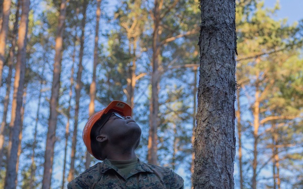 U.S. Marines with MWSS-273 and CLB-6 participate in tree falling operations