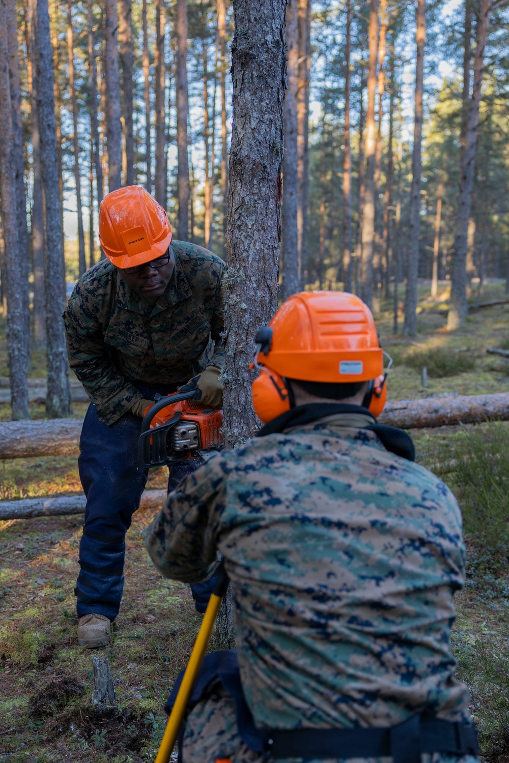 U.S. Marines with MWSS-273 and CLB-6 participate in tree falling operations