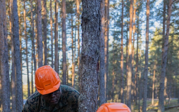 U.S. Marines with MWSS-273 and CLB-6 participate in tree falling operations