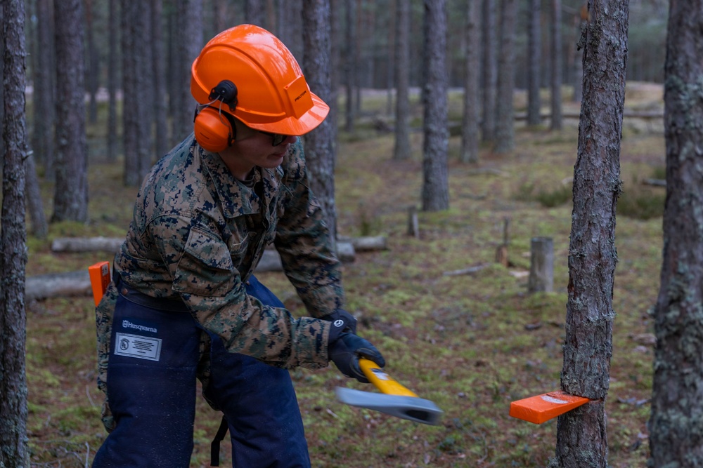 U.S. Marines with MWSS-273 and CLB-6 participate in tree falling operations