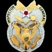 United States Air Force Inspector General Badge