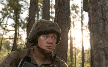 Lima Company Crucible