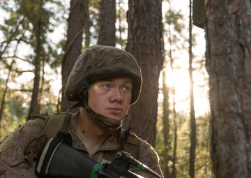 Lima Company Crucible