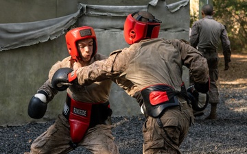 Lima Company Crucible