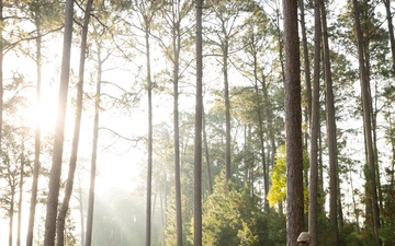 Lima Company Crucible