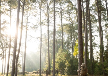 Lima Company Crucible