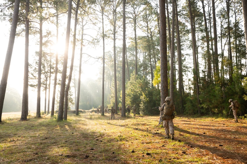 Lima Company Crucible