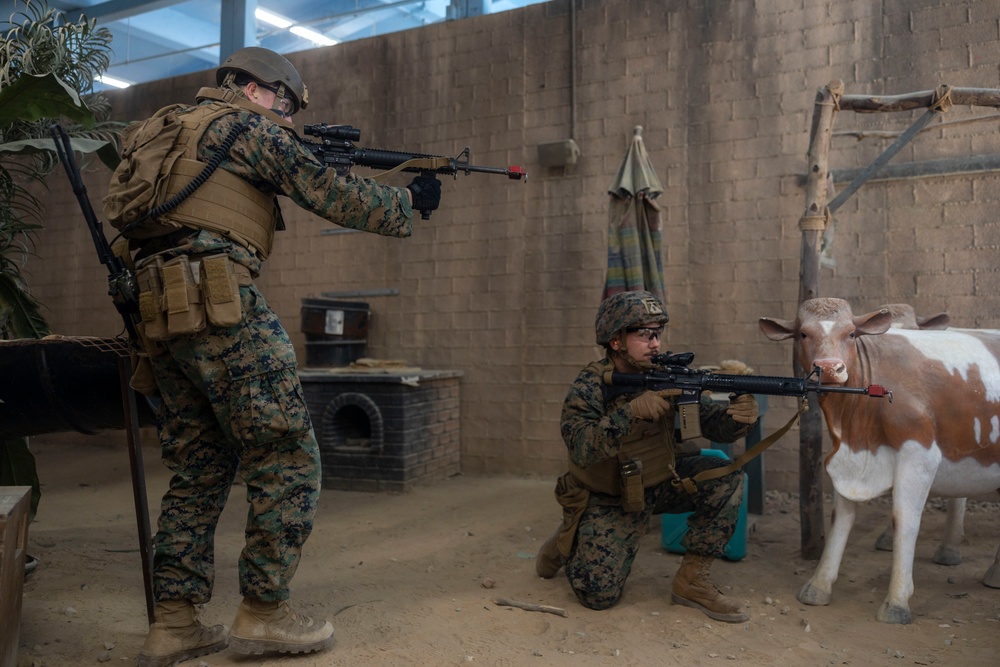 Combat Logistics Battalion 2 participates in Infantry Immersion Training