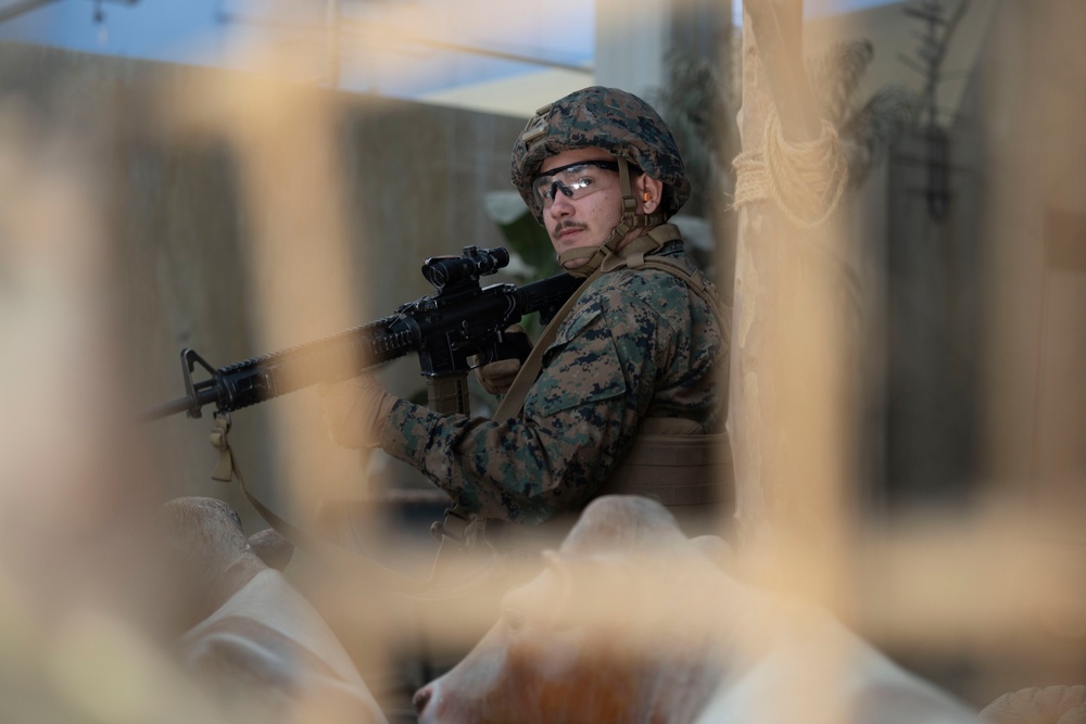 Combat Logistics Battalion 2 participates in Infantry Immersion Training