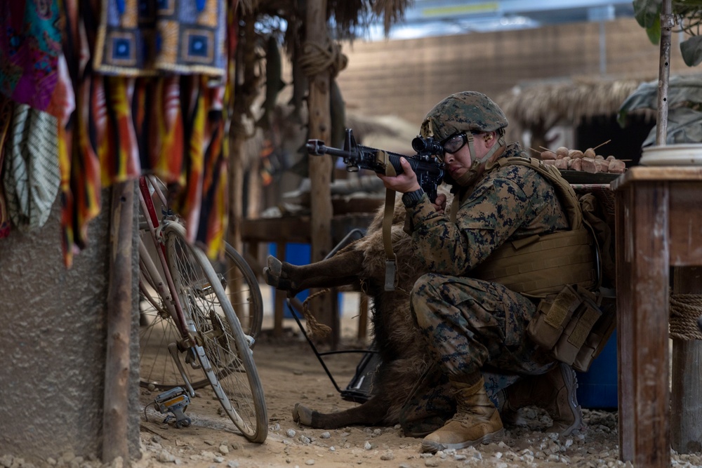 Combat Logistics Battalion 2 participates in Infantry Immersion Training