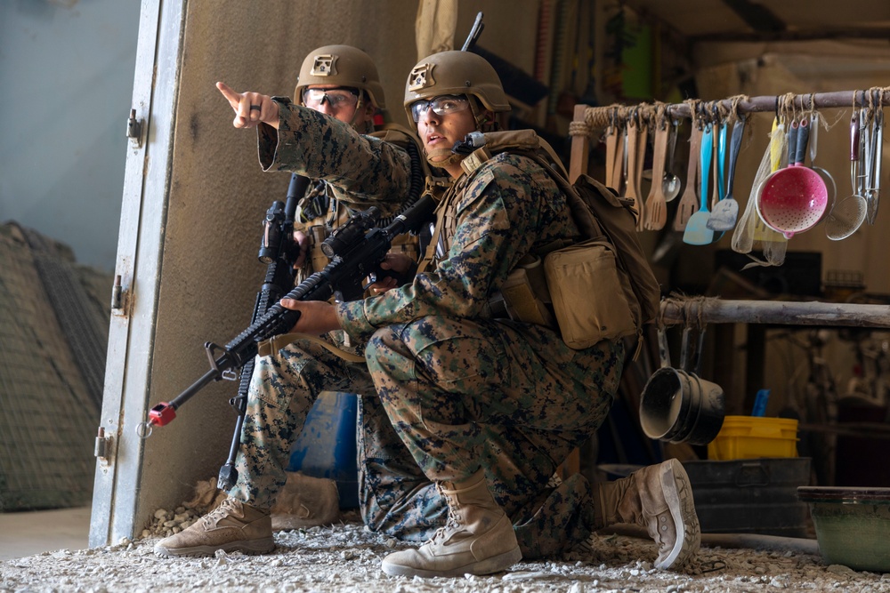 Combat Logistics Battalion 2 participates in Infantry Immersion Training