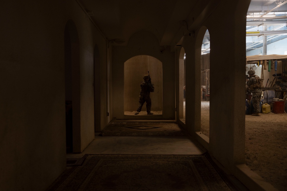 Combat Logistics Battalion 2 participates in Infantry Immersion Training