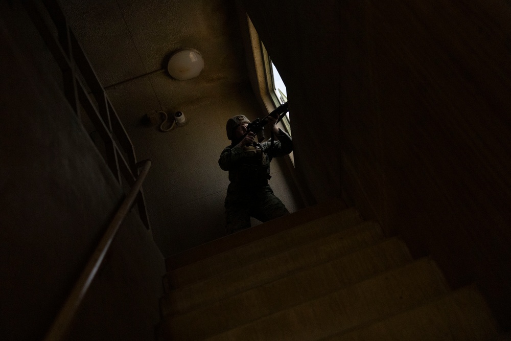 Combat Logistics Battalion 2 participates in Infantry Immersion Training