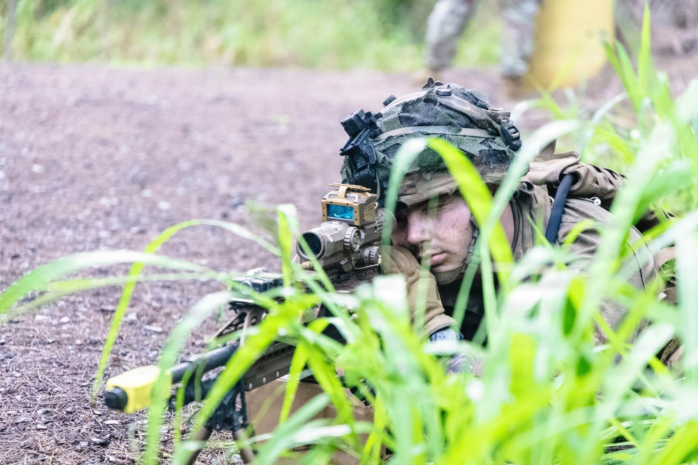 Soldier pulls security