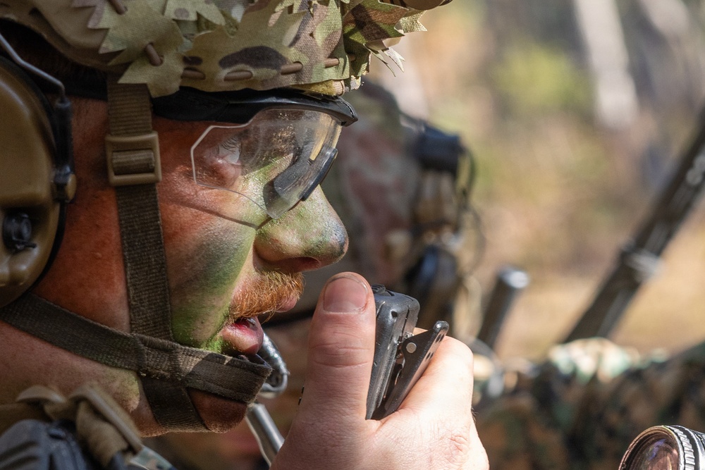 DVIDS - Images - Advanced Infantry Training Company final exercise ...